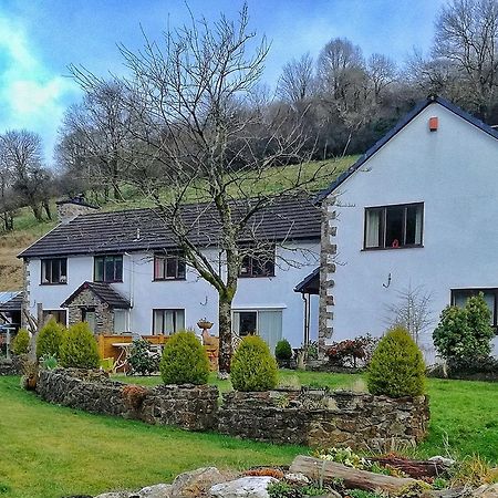 Neuadd Wen Guest House Carmarthen Exterior photo