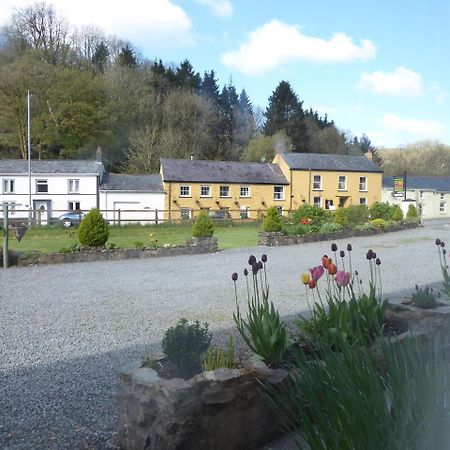 Neuadd Wen Guest House Carmarthen Exterior photo