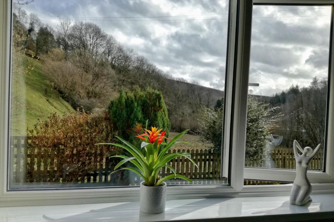 Neuadd Wen Guest House Carmarthen Exterior photo